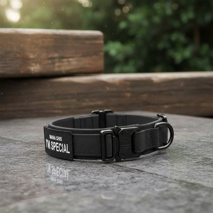 Robuuste tactische hondenhalsband van duurzaam nylon, ideaal voor training en dagelijks gebruik buiten.