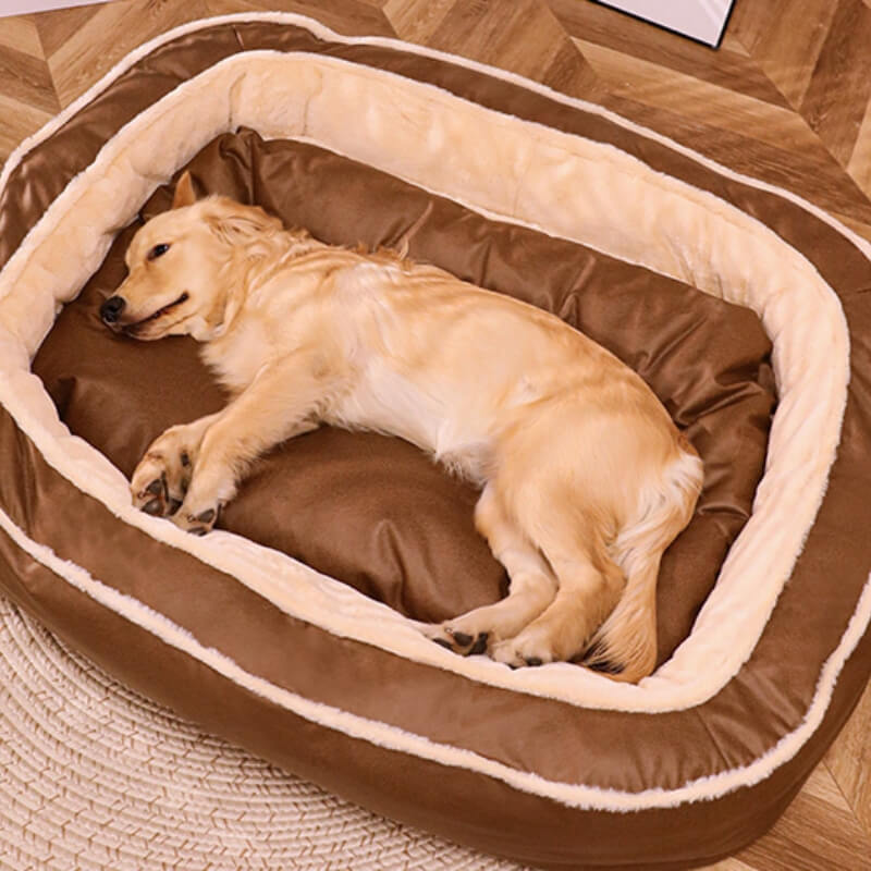 Comfortabel CozyPaw™ hondenbed met praktische afneembare hoes voor eenvoudig onderhoud.