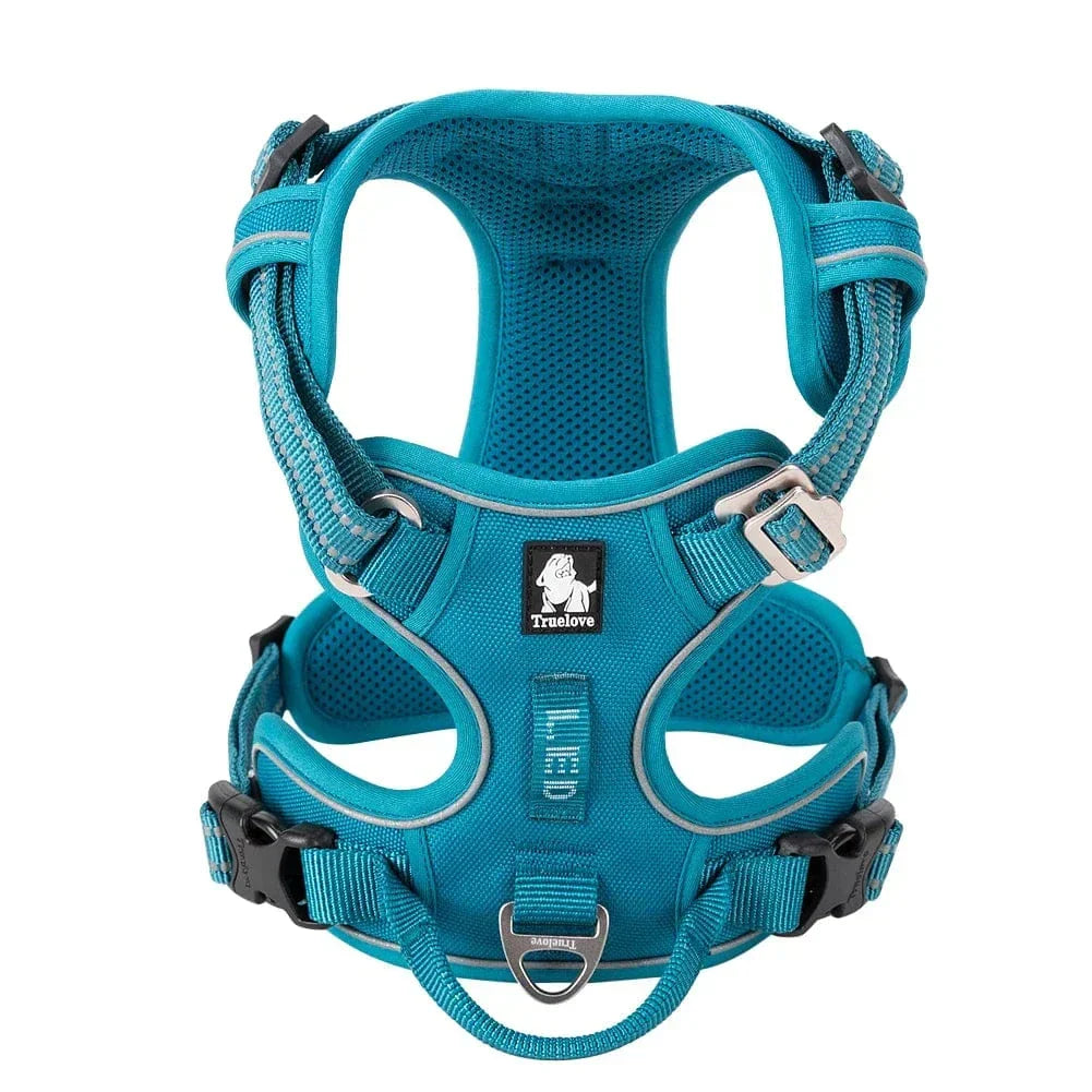 Hond rent vrijuit in de natuur met veilig, duurzaam hondenharnas, perfect voor avontuurlijke wandelingen.