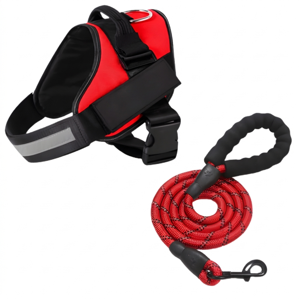 Hond draagt comfortabel anti-trek hondentuig, biedt optimale controle tijdens wandelingen.