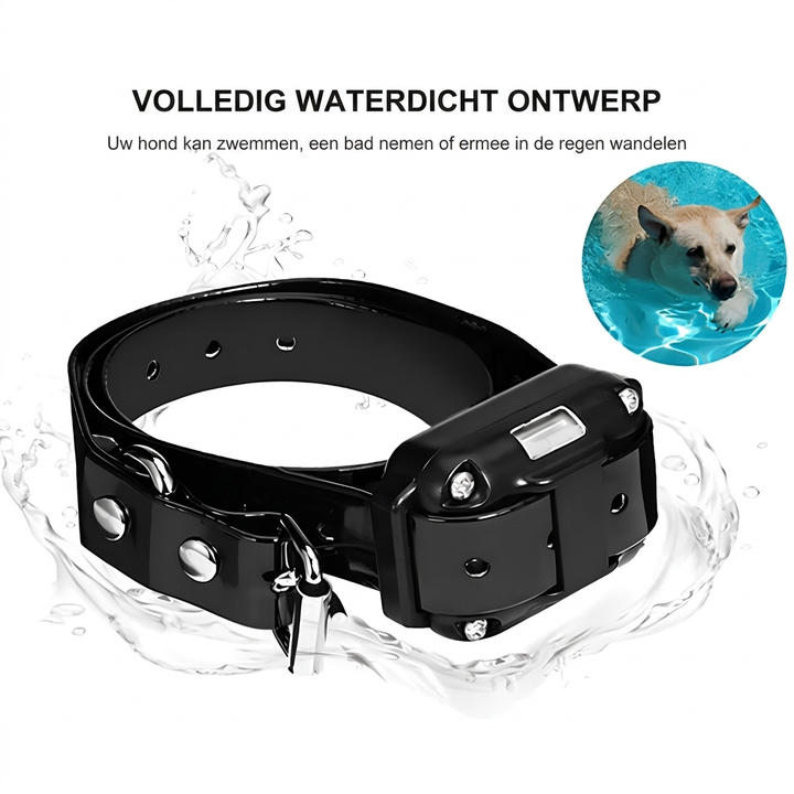 Digitale hondentrainingshalsband met afstandsbediening, oplaadbaar en comfortabel voor alle honden.