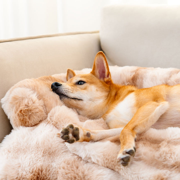 Groot pluche hondenbed PlushNest, perfect voor een uitgestrekte slaap en diep comfort.
