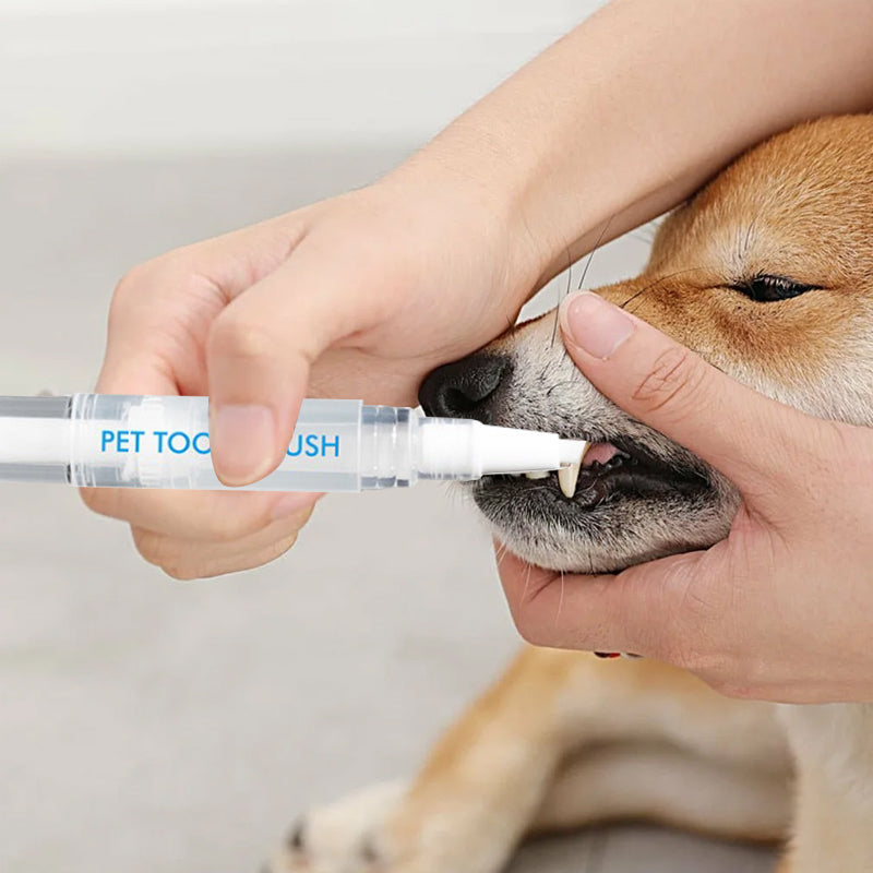 Compacte tandenborstel pen voor dagelijkse mondverzorging en preventie van tandproblemen bij dieren.