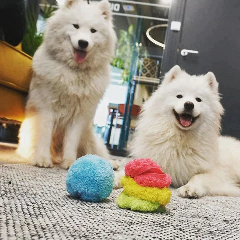 Vrolijke hond speelt met de actieve automatische speelbal, ideaal voor anti-verveling hondenvermaak.
