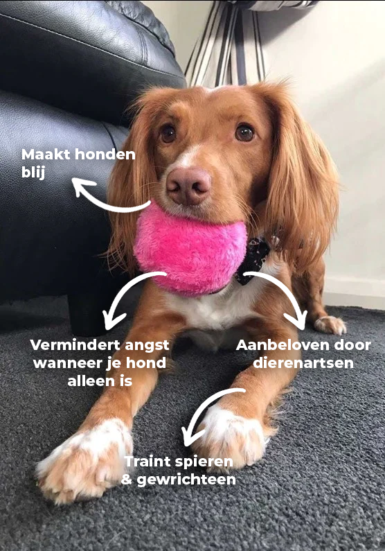 Automatische hondenspeelbal voor urenlang interactief speelplezier; perfect tegen verveling en stress.