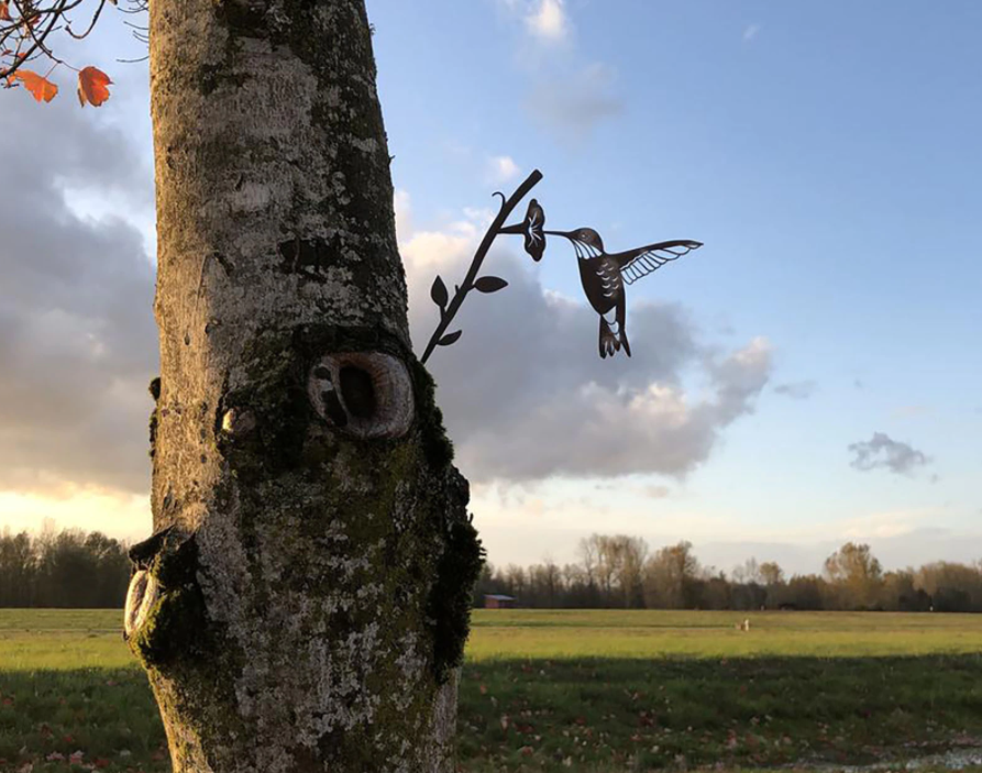 Decoratieve metalen vogels, ideaal voor tuin en interieur. Charmante metaalkunst en woondecoratie.