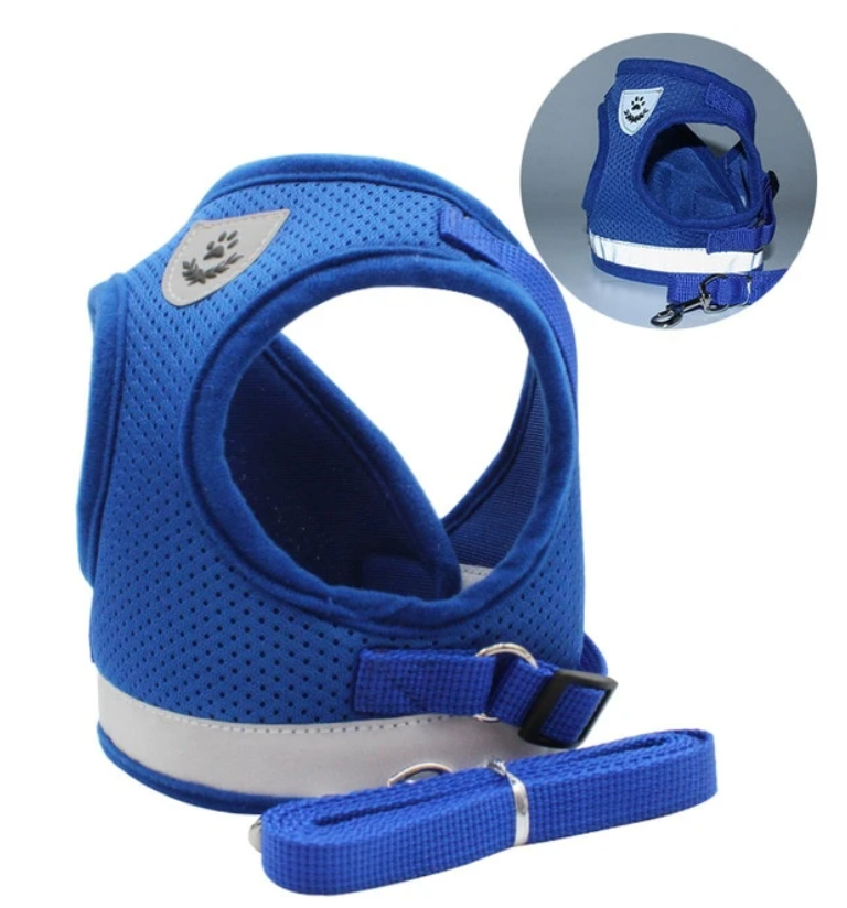 Ergonomisch AdventureKit kattentuigje met lijn, ideaal voor lange wandelingen en training.