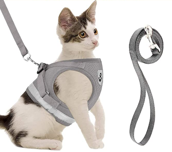 Hoogwaardig AdventureKit kattentuigje met lijn, speciaal voor veilig en stressvrij wandelen met katten.