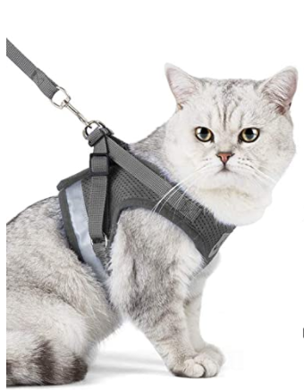 Makkelijk verstelbaar AdventureKit kattenriem en tuigje, perfect voor elke kattenmaat.