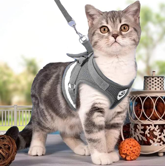 Kattenriem AdventureKit, speciaal ontworpen voor comfort en veiligheid van uw huisdier.