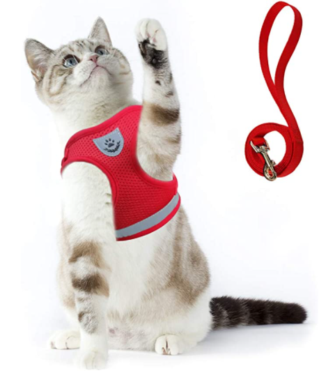 AdventureKit kattentuigje met reflecterende stiksels, voor verbeterde zichtbaarheid en veiligheid.