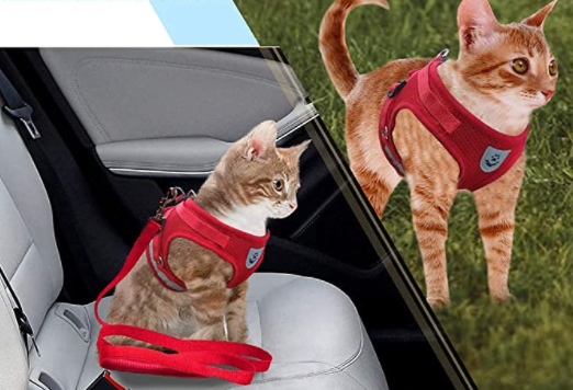 Reflecterend kattentuigje AdventureKit, voor optimale zichtbaarheid en veiligheid tijdens wandelen.