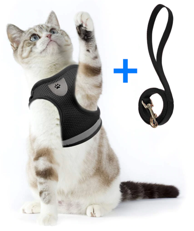 Verstelbaar AdventureKit tuigje voor katten, voorkomt ontsnappingen en biedt maximaal comfort.