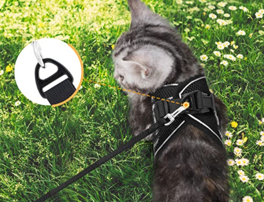 Detail van uitbraakvrij AdventureKit kattenharnas, met stevige gespen en ademend materiaal.