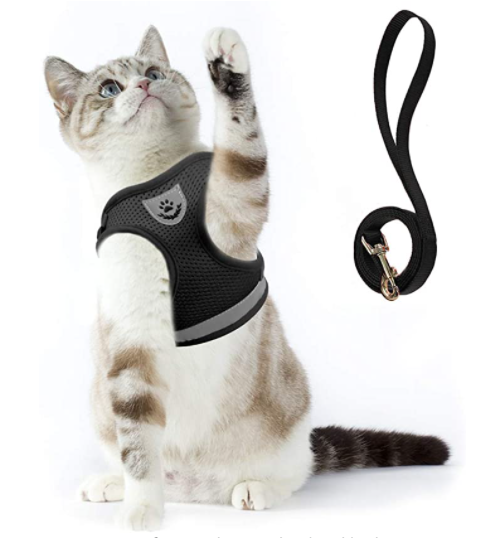 AdventureKit uitbraakvrij kattentuigje, ontworpen voor comfort en gemoedsrust van de eigenaar.