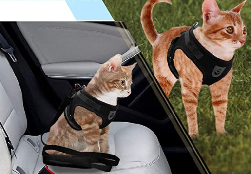 Set: AdventureKit kattentuigje en bijpassende lijn, ideaal voor veilige buitenactiviteiten met uw kat.