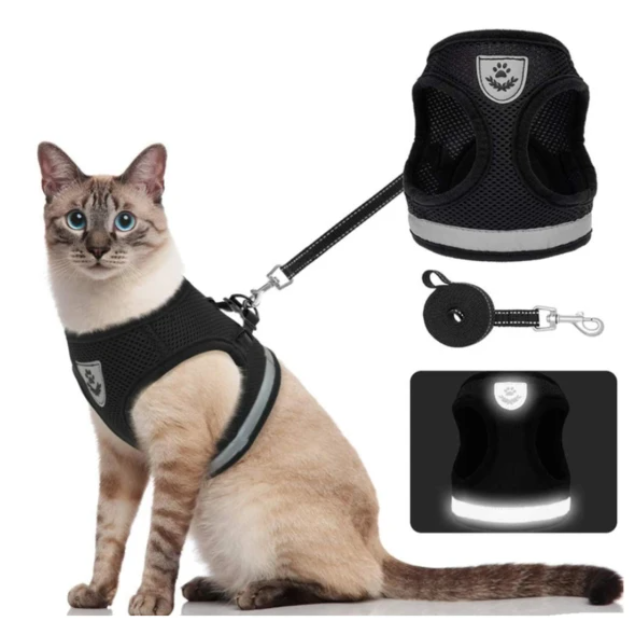 Compleet AdventureKit pakket: veilig kattentuigje en bijpassende lijn, klaar voor avontuur.