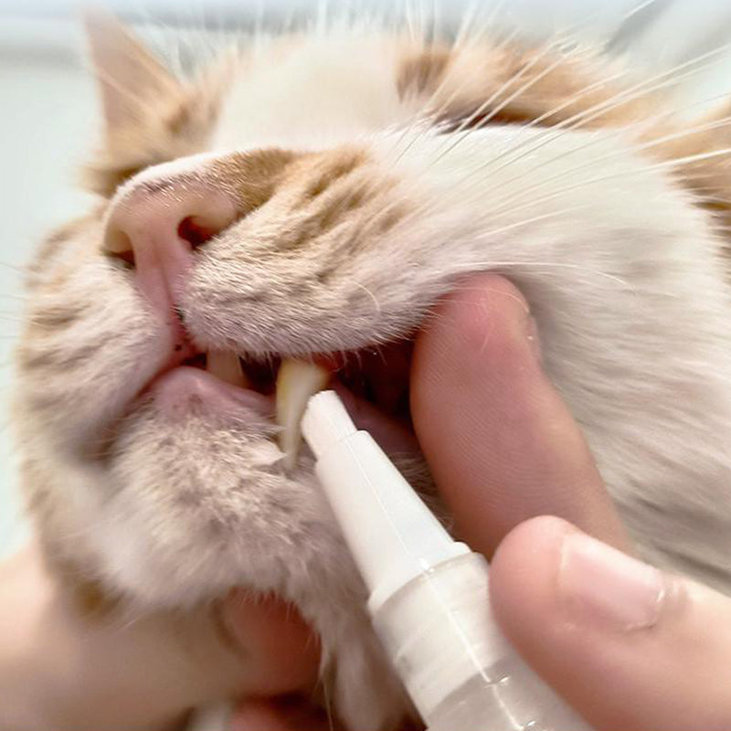 Frisse adem en gezond gebit voor huisdieren dankzij deze handige tandenborstel pen, makkelijk in gebruik.
