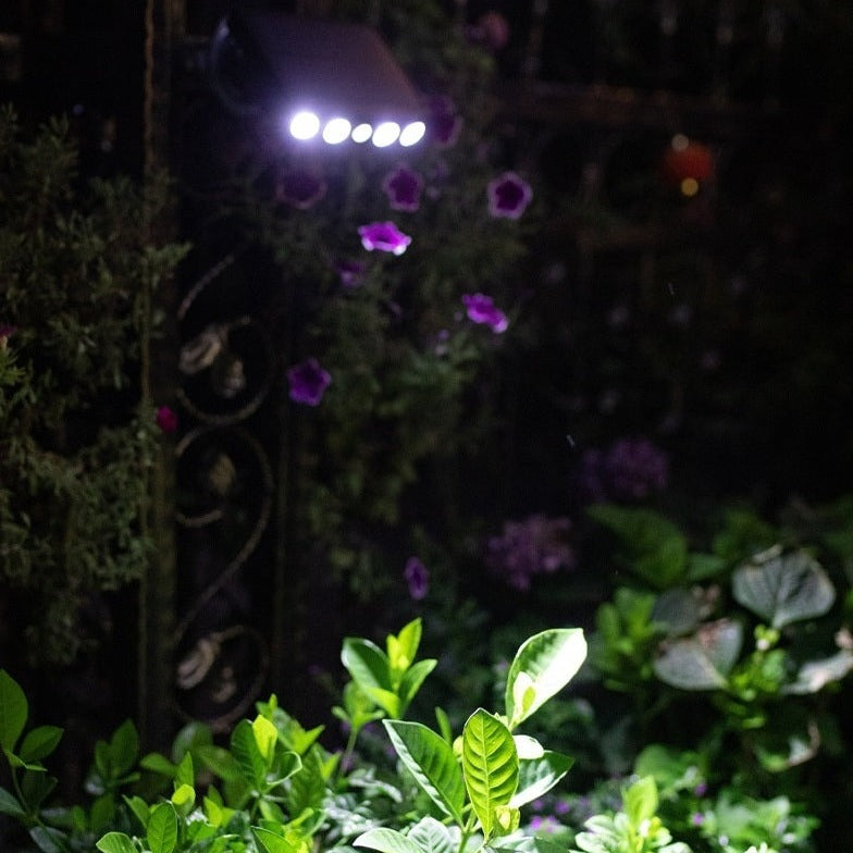 Solar buitenlamp met gevoelige bewegingssensor voor extra veiligheid en verlichting in je tuin.