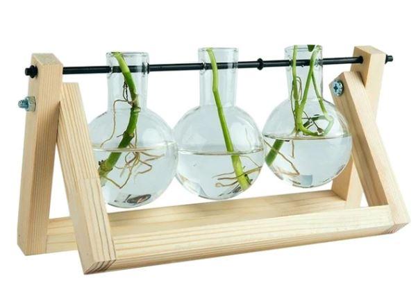Unisex kweekset: multifunctionele planten stekpotjes en decoratie van glas en hout voor je woonkamer.