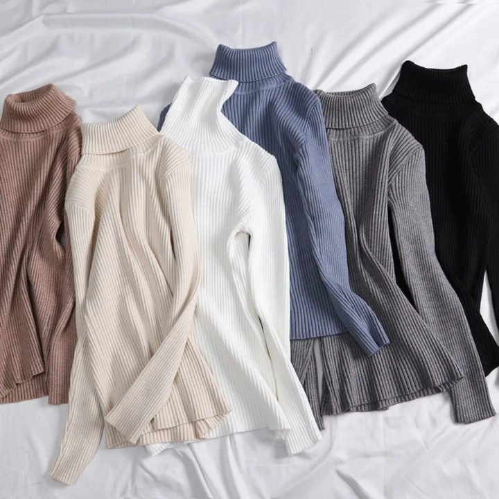 Stijlvolle dames coltrui, kasjmierlook, lange mouwen, comfortabel en warm, winter.