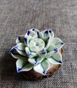 E - Licht-Groen Blauw