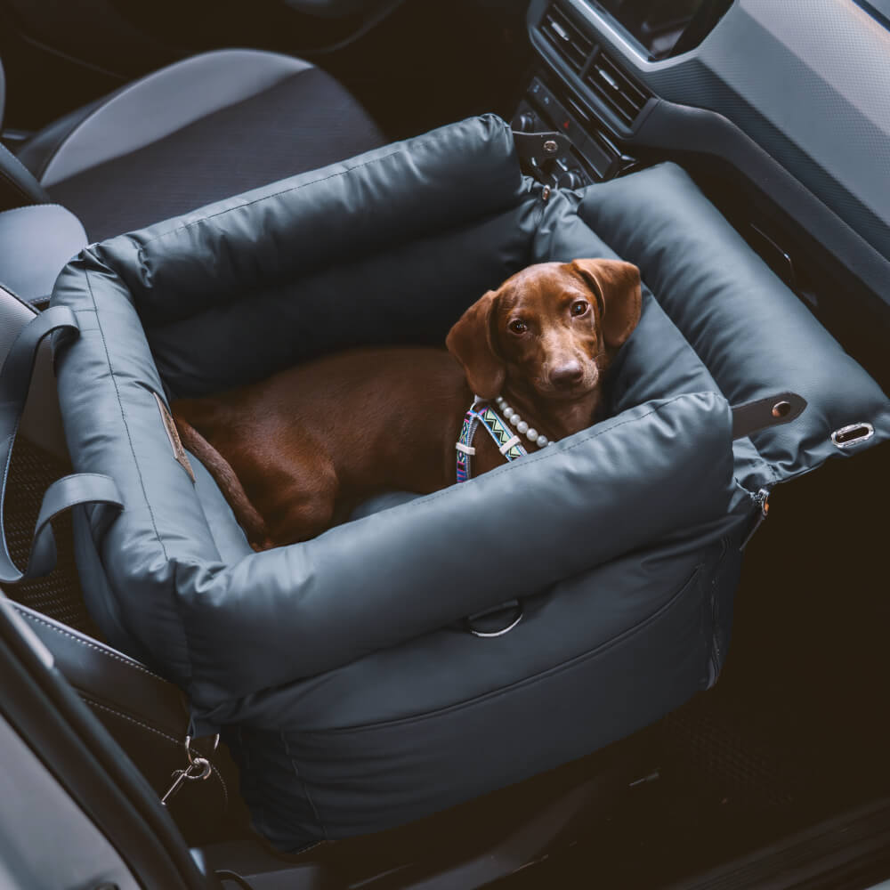 Blauwe hondenautostoel, van kunstleer, een comfortabel hondenaccessoire voor onderweg.