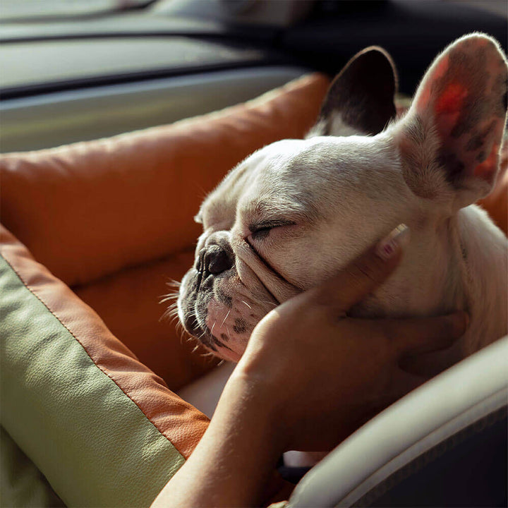 Grijze hondenautostoel, combineert luxe en comfort voor het veilig reizen van je hond.