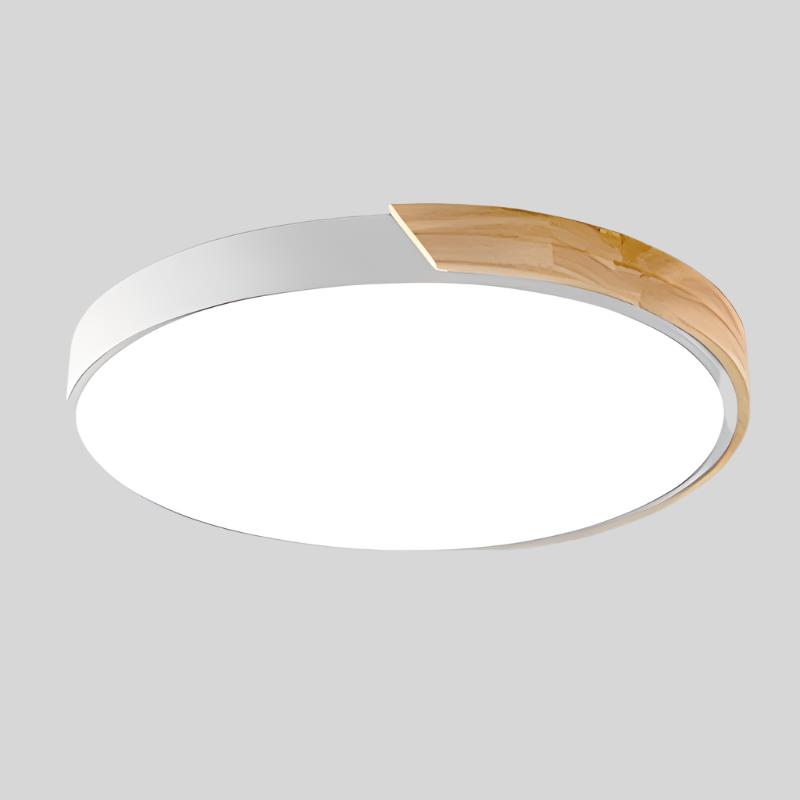 Duurzame moderne plafondlamp, Macaroon stijl LED, functioneel en decoratief.
