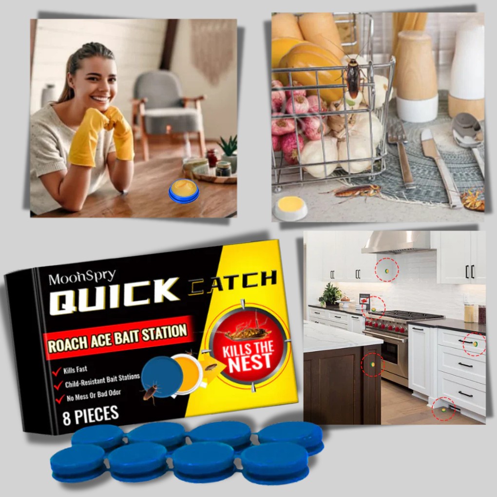 Een schone, kakkerlakvrije keuken dankzij de discrete en effectieve geurloze insectenvallen.