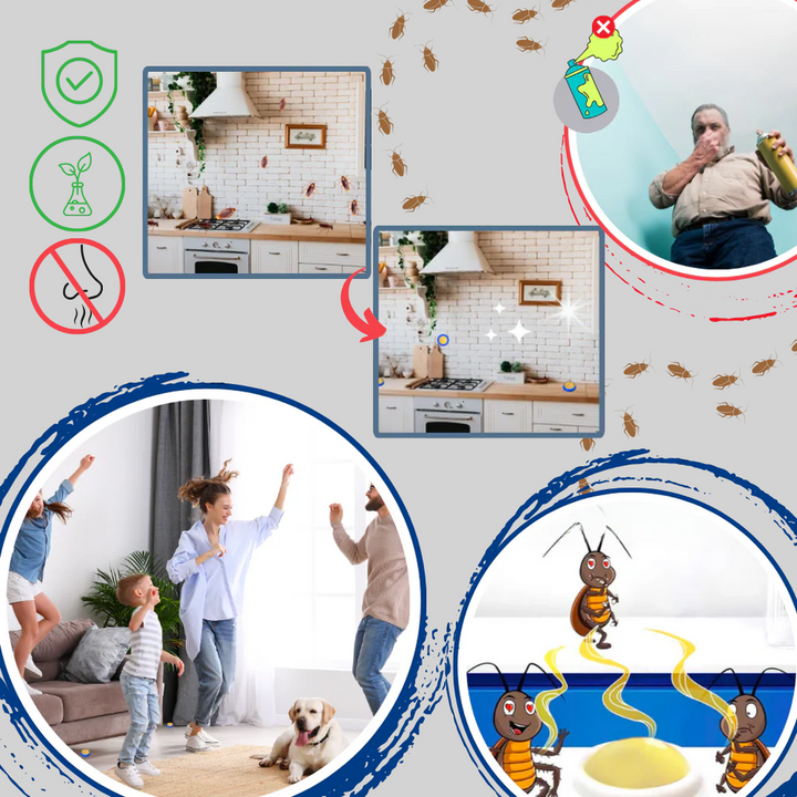 Hand plaatst geurloze kakkerlakkenval in een donkere hoek. Eenvoudig in gebruik voor ongediertebestrijding.