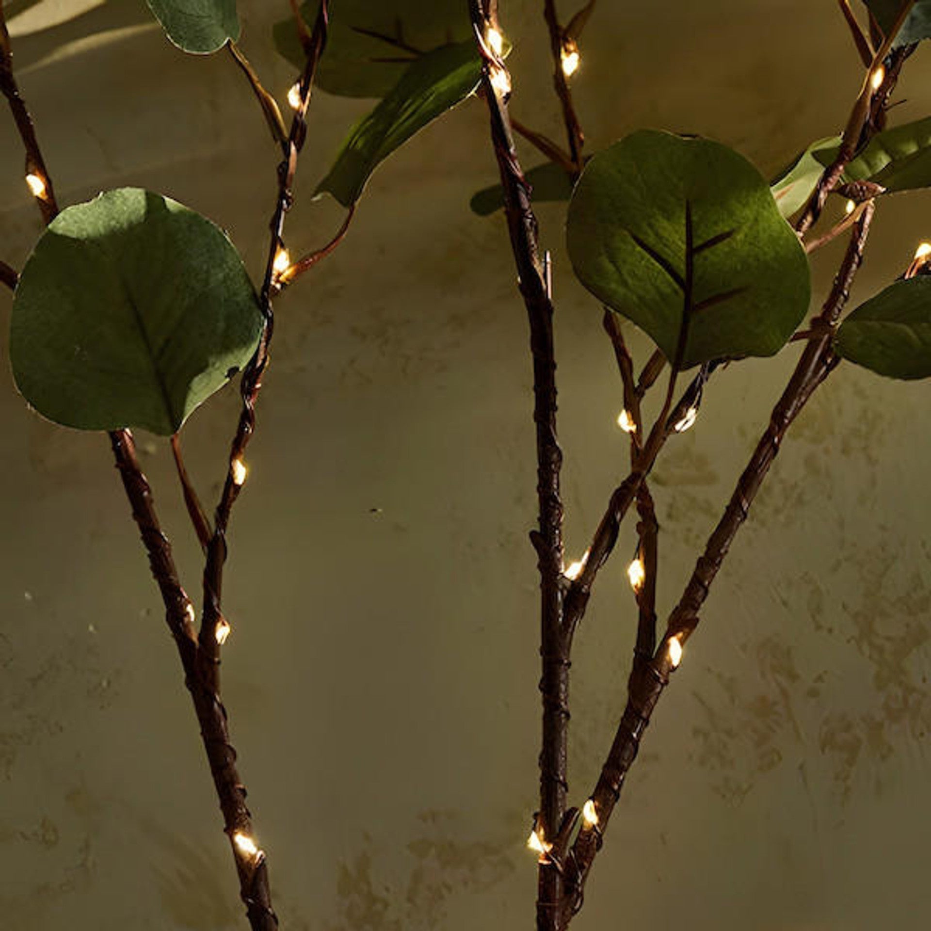 Olijftak verlichtingsdecoratie met 120 warme LED's, natuurlijke sfeer, realistische takken, ideaal voor interieurdecoratie.