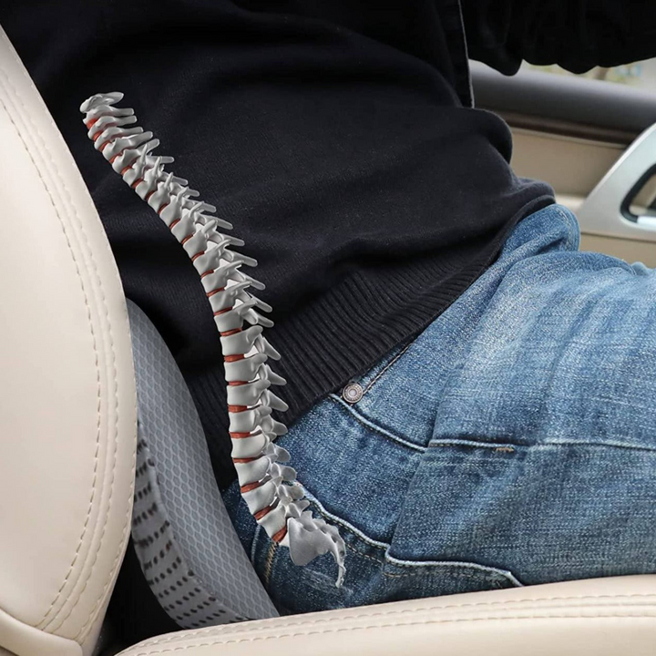 Ergonomisch lendenkussen en zitverhoger in één; voor ultiem rijcomfort en beter zicht.