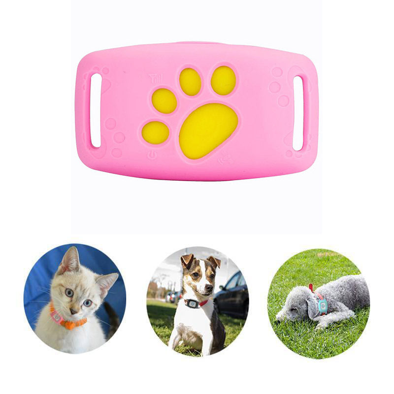 PawTrack slimme GPS-halsband voor katten & kleine honden. Realtime tracking & waterdicht voor huisdierbeveiliging.