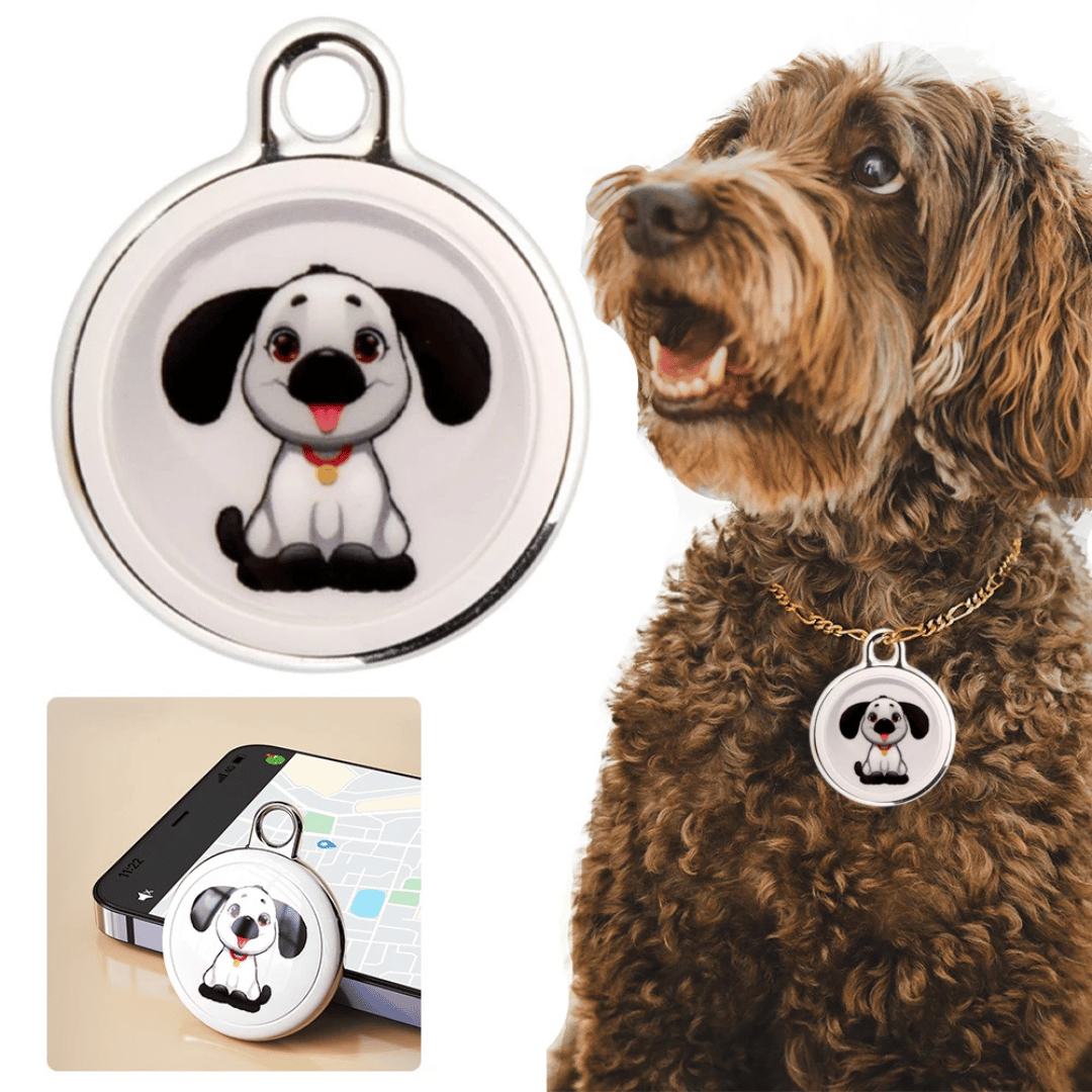 Kat met kleine, lichtgewicht GPS tracker aan de halsband. Beveilig je kat tegen kwijtraken met deze app-tracker.