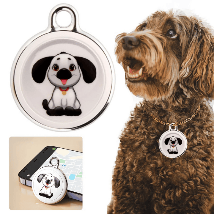 Kat met kleine, lichtgewicht GPS tracker aan de halsband. Beveilig je kat tegen kwijtraken met deze app-tracker.