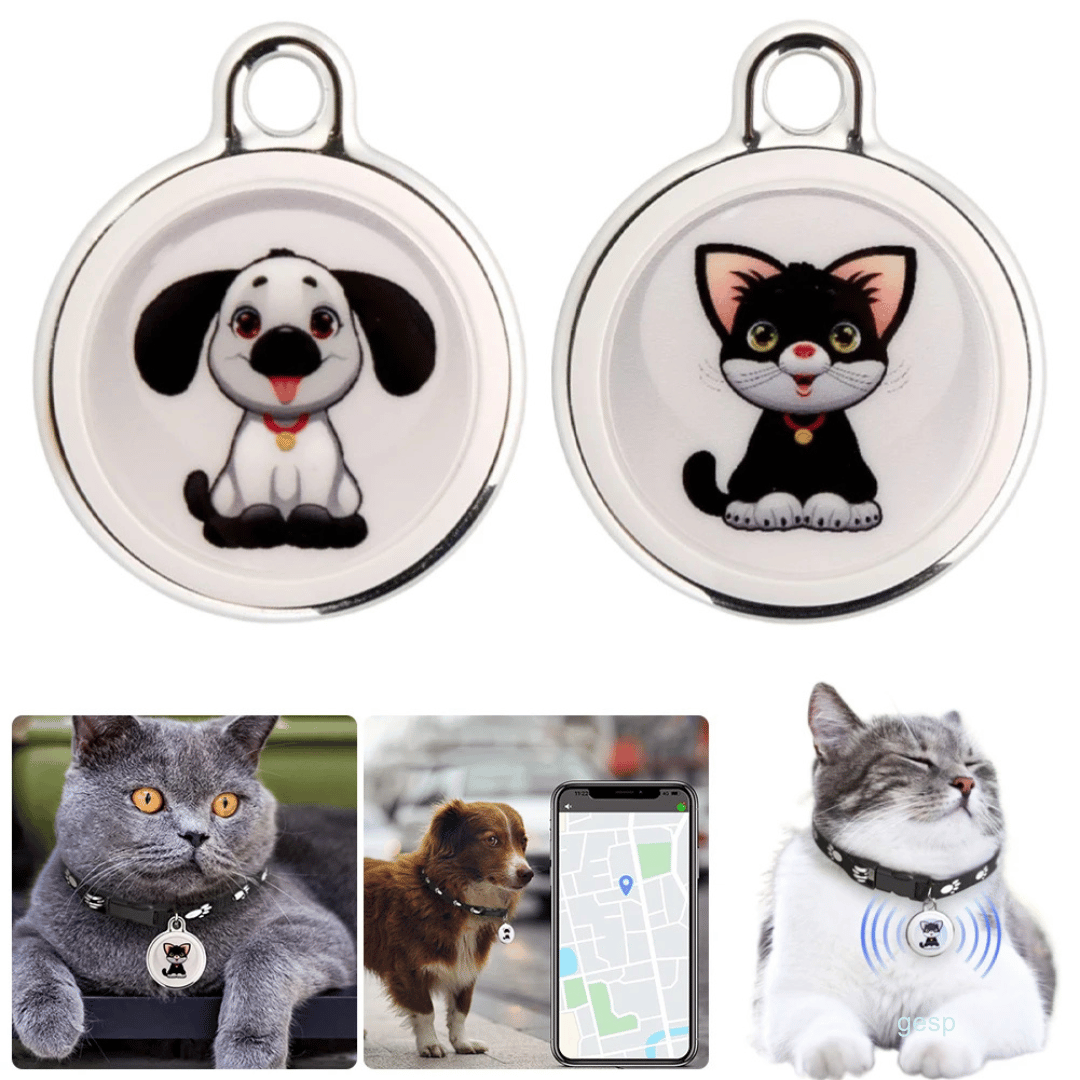 Hond met een compacte, waterdichte GPS tracker aan de halsband. Volg je hond via Android/iOS app.