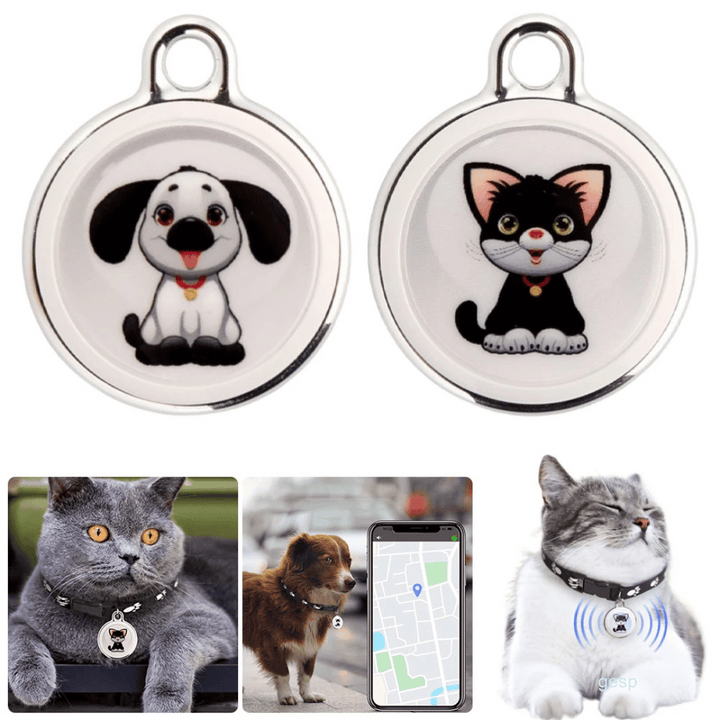 Hond met een compacte, waterdichte GPS tracker aan de halsband. Volg je hond via Android/iOS app.