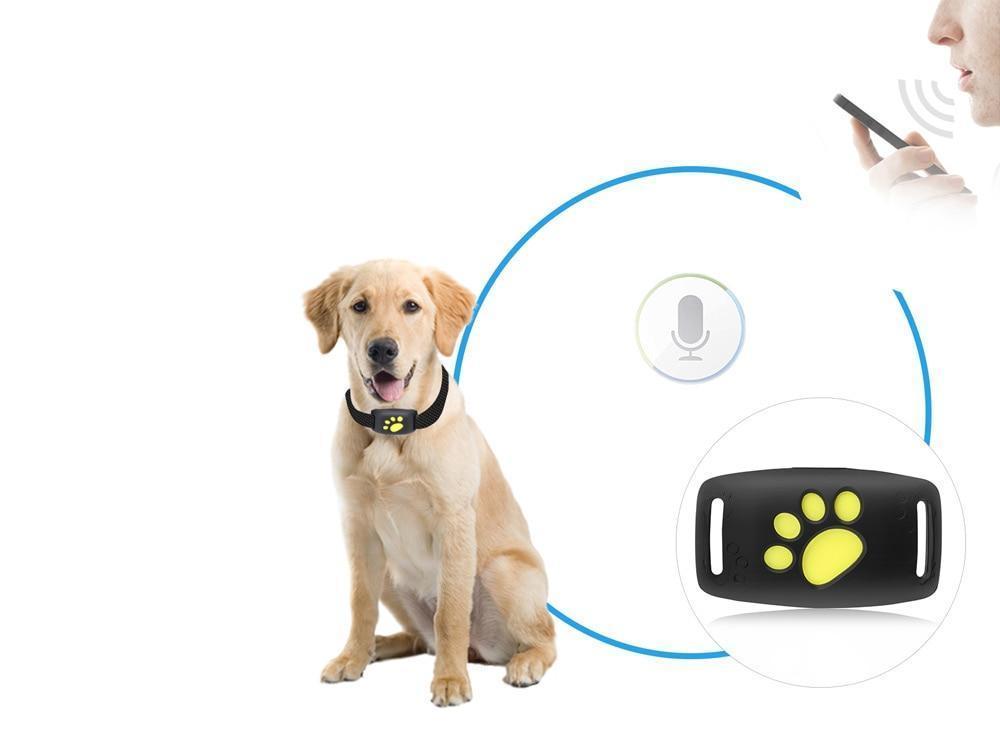 Katten GPS tracker met real-time locatie volgsysteem. Geen abonnement nodig voor optimale veiligheid.