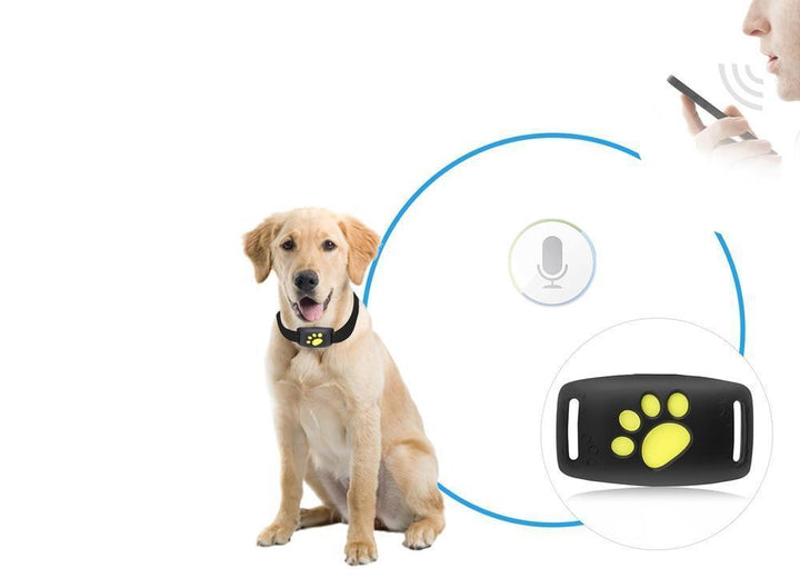 Katten GPS tracker met real-time locatie volgsysteem. Geen abonnement nodig voor optimale veiligheid.