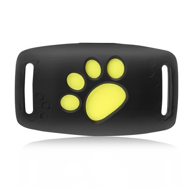 Huisdier GPS tracker: compact volgsysteem voor katten, real-time updates en geen maandelijkse kosten.