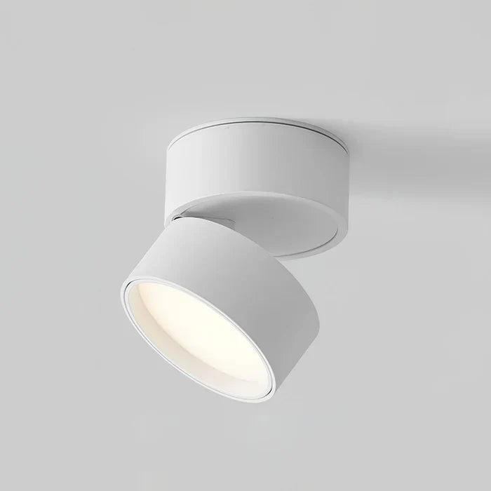 Verstelbare LED spot plafondlamp, met dimbare opties voor de gewenste sfeer.