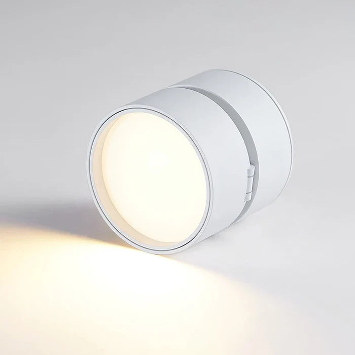 Functionele LED plafondlamp, ideaal voor het verlichten van kunst of specifieke zones.