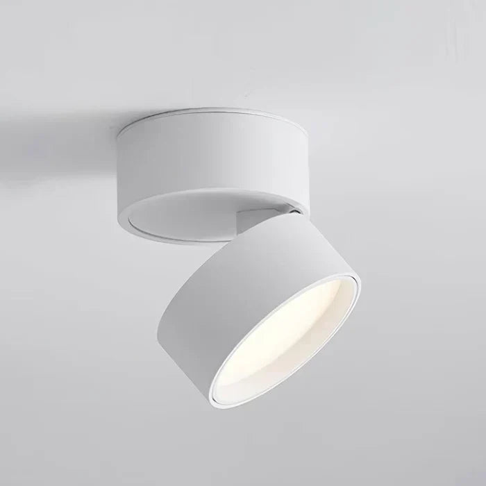 Zwarte LED plafondlamp voor woonkamer, met verstelbare spots en een focus op sfeerlicht.