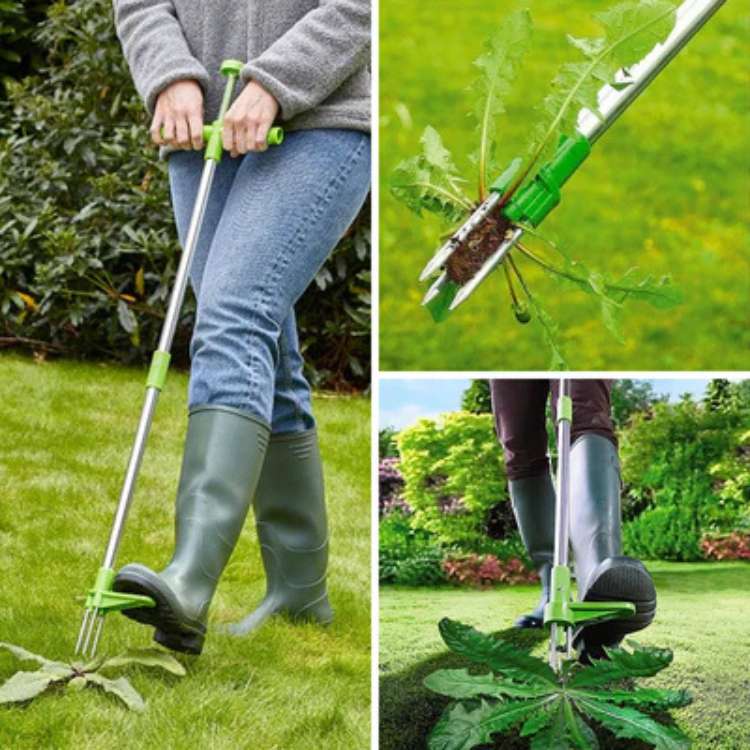 Persoon gebruikt een efficiënte onkruidtrekker om staand onkruid te wieden in de moestuin.
