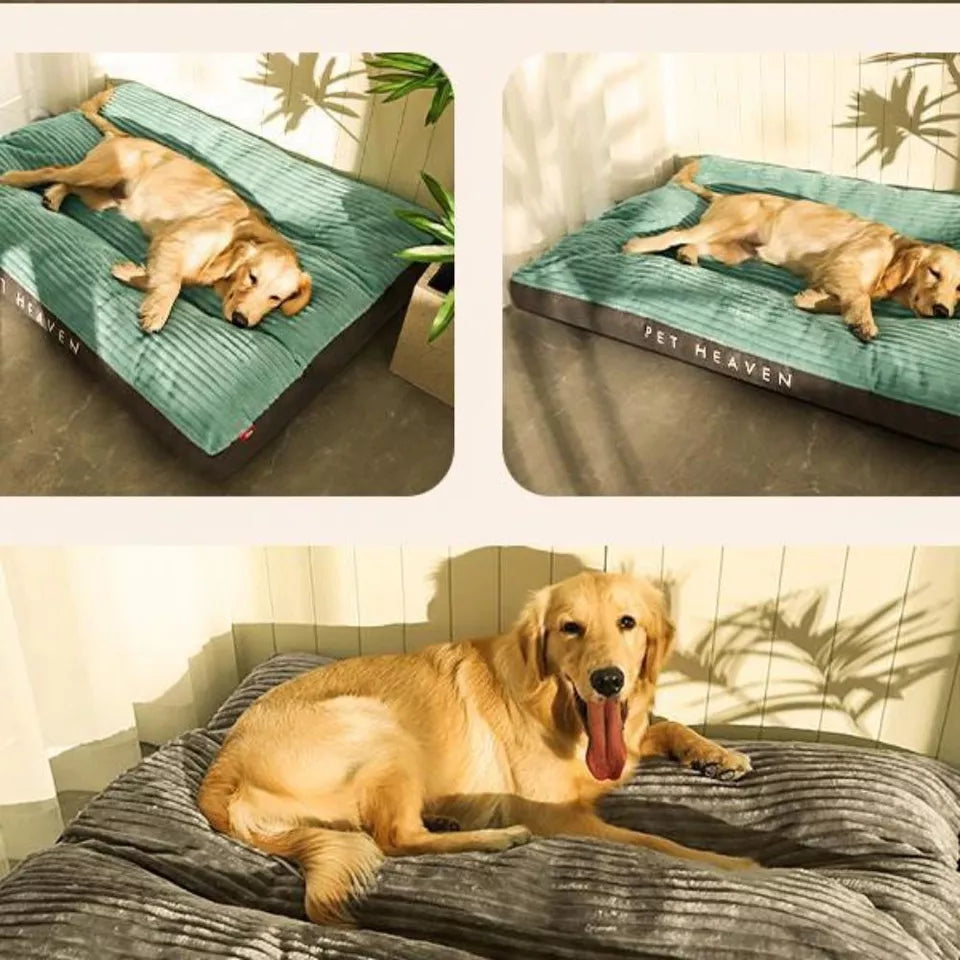 Stevig orthopedisch hondenbed, perfecte ondersteuning voor gewrichten van zowel grote als kleine honden. Ultiem comfort.