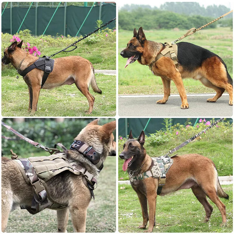 Verstelbaar nylon niet-trek hondenharnas voor honden; ideaal voor training en dagelijkse wandelingen.