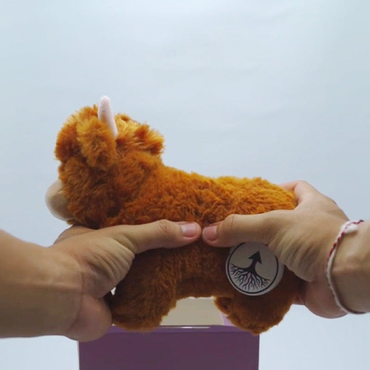 Mooie hooglandkoe knuffel, zacht en realistisch, een geweldig cadeau voor elke gelegenheid of verzameling.