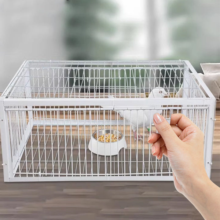 Diervriendelijke vogelval met terugslagbeveiliging voor humane plaagdierbeheersing in tuin en schuur.