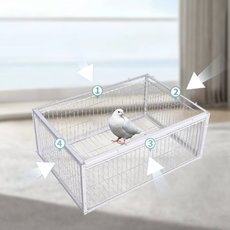BirdSafe vangkooi met terugslagbeveiliging, humane oplossing voor vogeloverlast en dierenwelzijn.